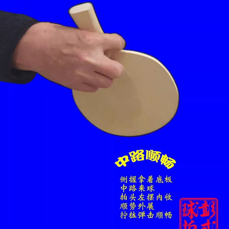 중국어/일본식 탁구 라켓 프로 수준의 불규칙한 모양 탁 - Table Tennis Xiom 리뷰 및 가격